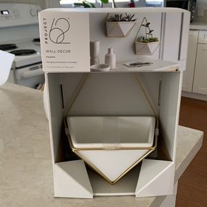 Project62 Succulent Wall Decor